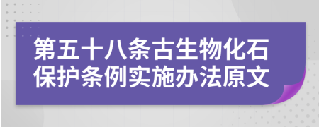 第五十八条古生物化石保护条例实施办法原文