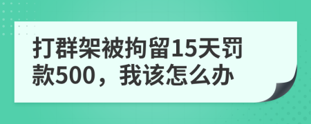 打群架被拘留15天罚款500，我该怎么办