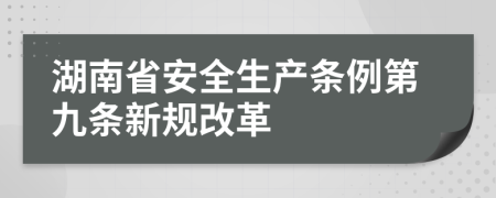 湖南省安全生产条例第九条新规改革