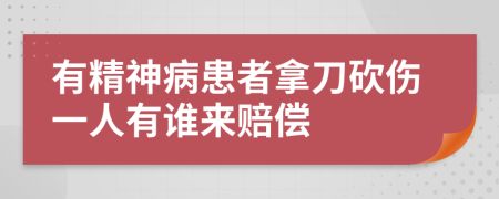 有精神病患者拿刀砍伤一人有谁来赔偿