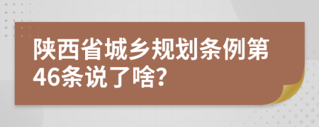 陕西省城乡规划条例第46条说了啥？