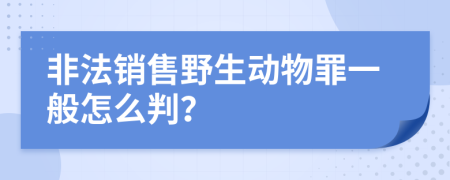 非法销售野生动物罪一般怎么判？