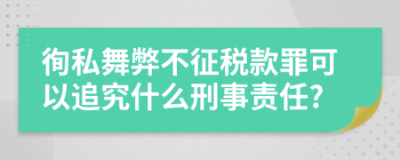 徇私舞弊不征税款罪可以追究什么刑事责任?