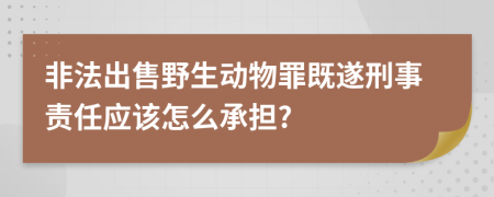 非法出售野生动物罪既遂刑事责任应该怎么承担?