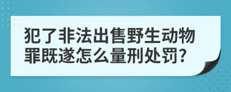 犯了非法出售野生动物罪既遂怎么量刑处罚?