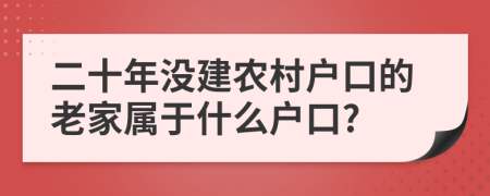 二十年没建农村户口的老家属于什么户口?