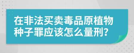 在非法买卖毒品原植物种子罪应该怎么量刑？