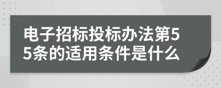 电子招标投标办法第55条的适用条件是什么