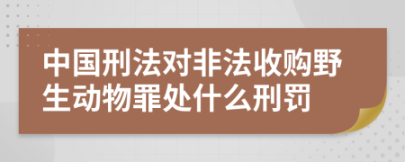 中国刑法对非法收购野生动物罪处什么刑罚