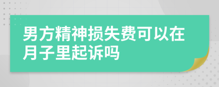 男方精神损失费可以在月子里起诉吗