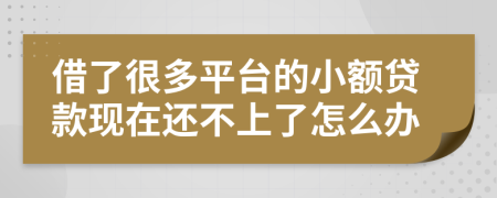 借了很多平台的小额贷款现在还不上了怎么办