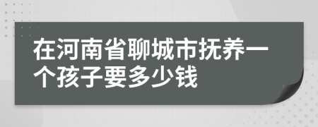 在河南省聊城市抚养一个孩子要多少钱