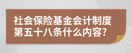 社会保险基金会计制度第五十八条什么内容?