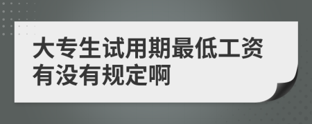 大专生试用期最低工资有没有规定啊