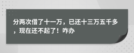 分两次借了十一万，已还十三万五千多，现在还不起了！咋办