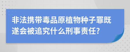 非法携带毒品原植物种子罪既遂会被追究什么刑事责任?