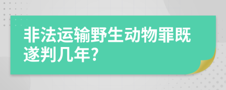 非法运输野生动物罪既遂判几年?