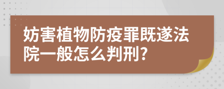 妨害植物防疫罪既遂法院一般怎么判刑?