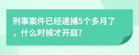 刑事案件已经逮捕5个多月了，什么时候才开庭?