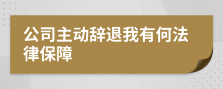 公司主动辞退我有何法律保障