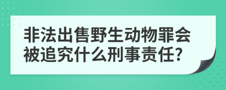 非法出售野生动物罪会被追究什么刑事责任?