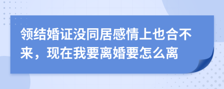 领结婚证没同居感情上也合不来，现在我要离婚要怎么离