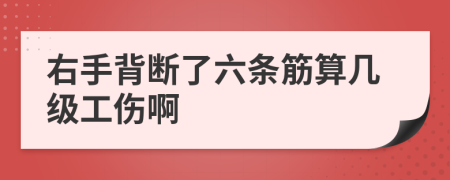 右手背断了六条筋算几级工伤啊