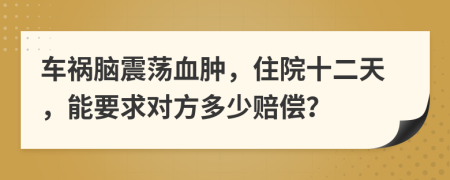 车祸脑震荡血肿，住院十二天，能要求对方多少赔偿？