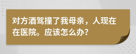 对方酒驾撞了我母亲，人现在在医院。应该怎么办？