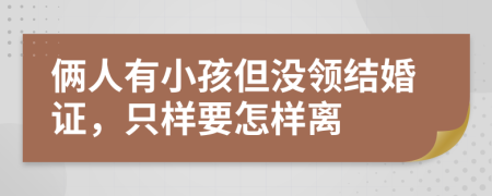 俩人有小孩但没领结婚证，只样要怎样离