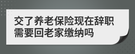 交了养老保险现在辞职需要回老家缴纳吗