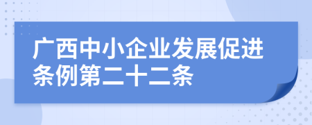 广西中小企业发展促进条例第二十二条