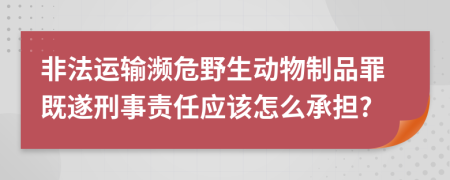 非法运输濒危野生动物制品罪既遂刑事责任应该怎么承担?