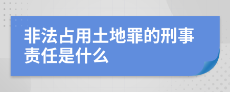 非法占用土地罪的刑事责任是什么