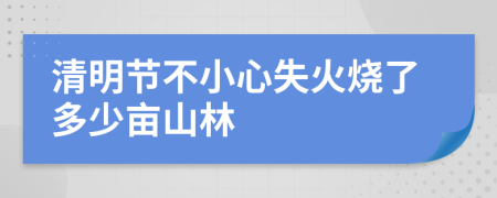 清明节不小心失火烧了多少亩山林