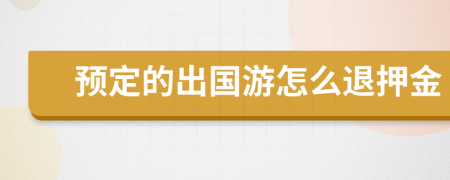 预定的出国游怎么退押金