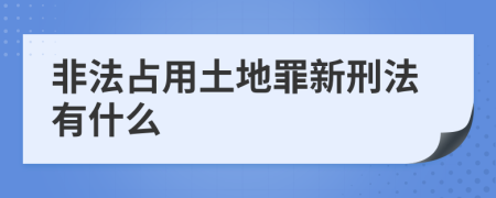 非法占用土地罪新刑法有什么