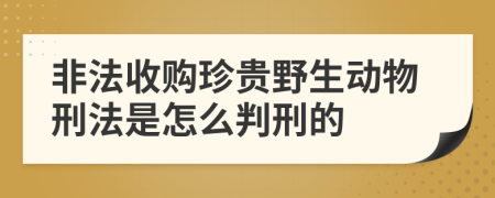 非法收购珍贵野生动物刑法是怎么判刑的