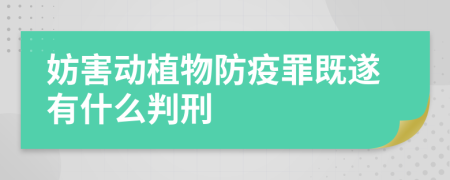 妨害动植物防疫罪既遂有什么判刑