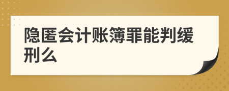 隐匿会计账簿罪能判缓刑么