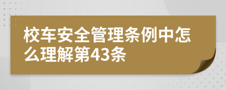 校车安全管理条例中怎么理解第43条