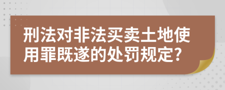 刑法对非法买卖土地使用罪既遂的处罚规定?