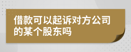 借款可以起诉对方公司的某个股东吗