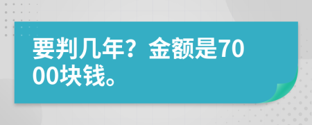 要判几年？金额是7000块钱。