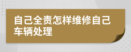 自己全责怎样维修自己车辆处理