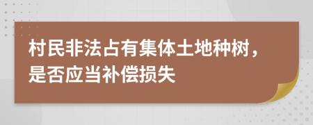 村民非法占有集体土地种树，是否应当补偿损失