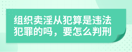 组织卖淫从犯算是违法犯罪的吗，要怎么判刑