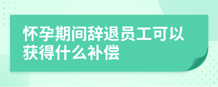 怀孕期间辞退员工可以获得什么补偿