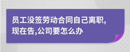员工没签劳动合同自己离职,现在告,公司要怎么办