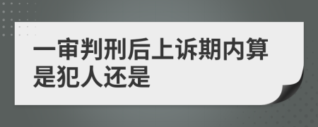 一审判刑后上诉期内算是犯人还是